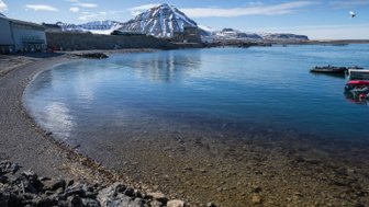Ein ruhiger Küstenabschnitt mit klarem Wasser, umgeben von schneebedeckten Bergen und einem blauen Himmel.