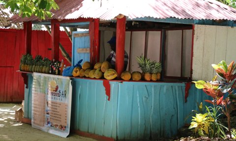 Ein lebendiger Verkaufsstand in Samana, gefüllt mit frischen Ananas und Melonen, umgeben von bunten Pflanzen.