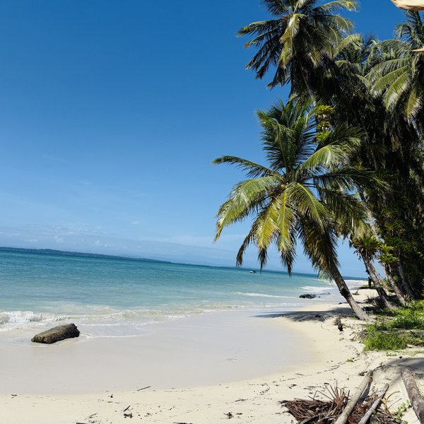 Ein ruhiger Strand mit feinem, hellem Sand, umgeben von hohen Palmen und klarem, türkisfarbenem Wasser.