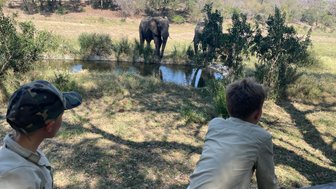 Zwei Kinder sitzen im Schatten und beobachten Elefanten an einem Wasserloch – Südafrika Reise mit Kindern