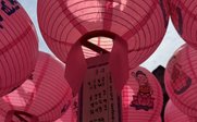 Pinke Laternen - Feedback zur Südkorea Familienreise