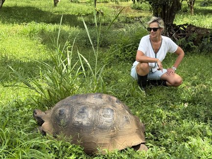 Eine Person kniet im Gras neben einer großen Schildkröte, die entspannt in der Sonne liegt, umgeben von üppigem Grün.