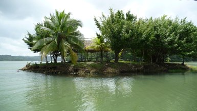 Eine kleine, grüne Insel mit Palmen und einem schattigen Unterstand am Wasser, umgeben von ruhigem, klarem Wasser.