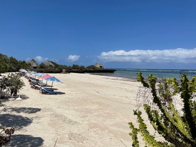 Ein ruhiger Strand mit bunten Sonnenschirmen und Liegen, umgeben von üppigem Grün und klarem blauen Himmel.