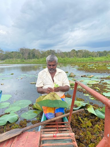Einheimischer fertigt in der Nähe von Sigiriya einen traditionellen Hut – Sri Lanka Familienreise