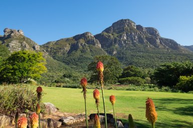 Blick auf die Berge in den Kirstenbosch Botanical Gardens – Südafrika Familienreise