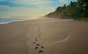 Fußspuren im Sand bei hellem Sonnenlicht - Costa Rica Family & Teens individuell - Costa Rica mit Kindern und Jugendlichen 