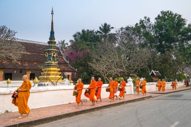 Mönche in orange Roben gehen in einer Reihe entlang einer Straße, um Almosen zu sammeln, umgeben von Bäumen und Tempeln.