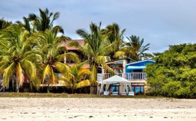Ein tropisches Strandhaus umgeben von hohen Palmen, mit einem weißen Pavillon und blauen Liegen im Vordergrund.