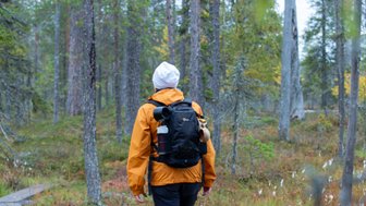 Eine Person mit einem Rucksack wandert auf einem Holzsteg durch einen herbstlichen Wald in Finnland.
