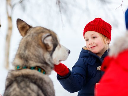 Ein fröhliches Kind mit rotem Hut streichelt einen Husky in einer verschneiten Umgebung, umgeben von Bäumen.