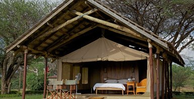 Ein Zelt im Tsavo Ost Nationalpark, umgeben von Bäumen, bietet eine gemütliche Unterkunft mit einem Bett und einem Stuhl.