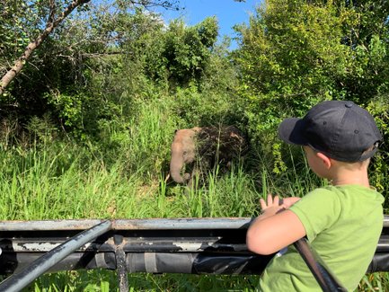 Ein Elefant nähert sich einem Kind im Jeep im Minneriya Nationalpark – Sri Lanka mit Kindern
