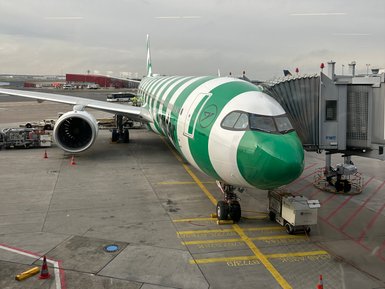 Ein grünes Flugzeug steht am Flughafen, bereit für den Abflug, während Gepäckwagen in der Nähe positioniert sind.