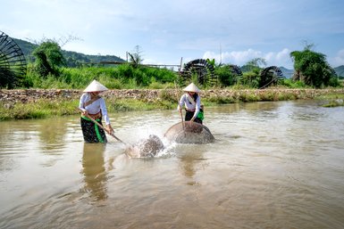 Zwei Frauen im Wasser arbeiten mit einem Elefanten, während spritzendes Wasser die Szene lebendig macht.
