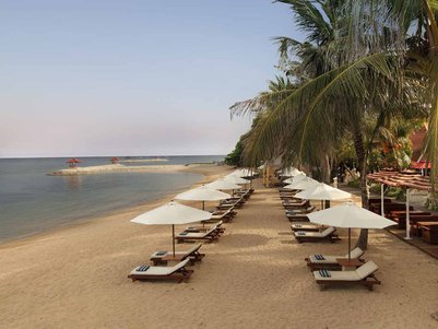 Ein ruhiger Strand mit Liegen und Sonnenschirmen, umgeben von Palmen und einem klaren blauen Himmel über dem Wasser.