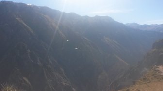 Zwei Vögel fliegen über eine beeindruckende Berglandschaft, die von der Sonne beleuchtet wird und eine majestätische Atmosphäre schafft.