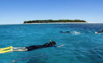Schnorchler gleiten durch das klare, türkisfarbene Wasser, umgeben von der Schönheit des Great Barrier Reefs.