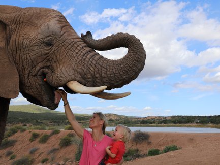 Mutter und Kind erleben gemeinsam die Elefantenfütterung in der Buffelsdrift Game Lodge – Garden Route Familienreise