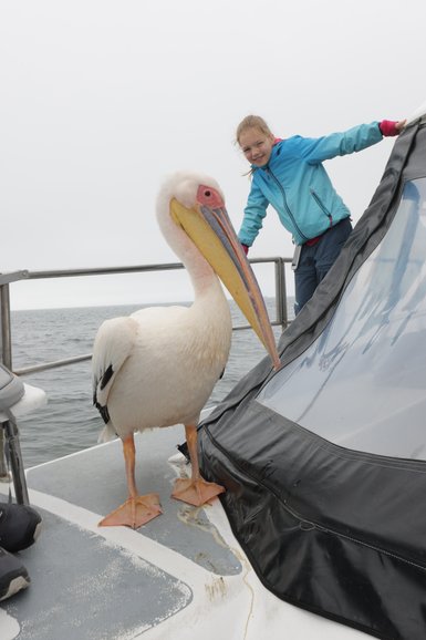 Ein Pelikan steht neben einem Mädchen auf dem Boot - Namibia mit Jugendlichen