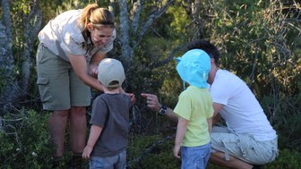 Kindgerechte Safari-Erklärung durch Guide in der Buffelsdrift Game Lodge – Garden Route Reise mit Kindern