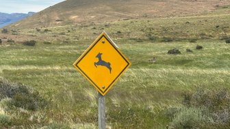 Ein gelbes Warnschild zeigt ein springendes Lama vor einer weiten, grünen Landschaft mit sanften Hügeln im Hintergrund.