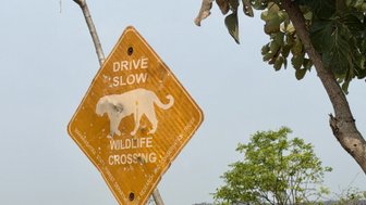 Ein abgenutztes Warnschild weist Autofahrer darauf hin, langsam zu fahren, da Wildtiere die Straße überqueren könnten.
