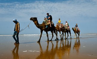 Kamelritt für die ganze Familie entlang des Atlantikstrands von Sidi Kaouki – Familienreise nach Marokko