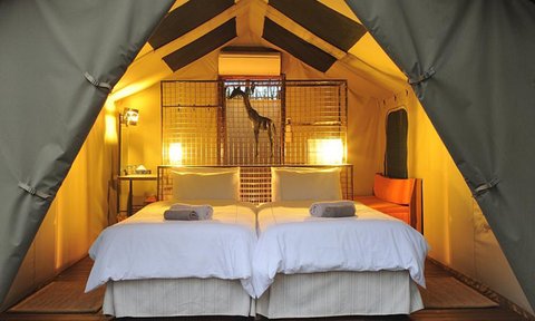 Zelt Erongo Rocks Camping - Namibia Reise mit Kindern