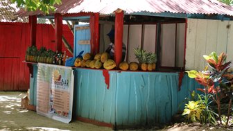Ein lebendiger Verkaufsstand in Samana, gefüllt mit frischen Ananas und Melonen, umgeben von bunten Pflanzen.