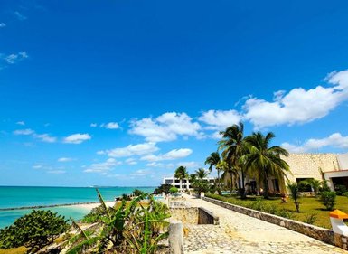 Ein malerischer Strandweg führt entlang des türkisfarbenen Wassers, umgeben von Palmen und einem klaren blauen Himmel.