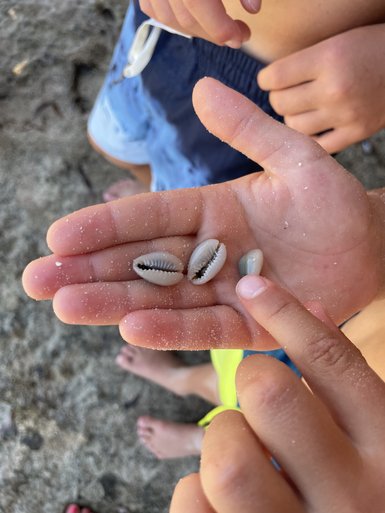 Ein Kind hält Muscheln in der Hand, während ein anderes Kind mit dem Finger auf eine Muschel zeigt, um sie zu zeigen.