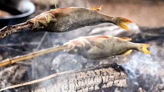 Zwei Fische werden über einem offenen Feuer auf Stockspießen gegrillt, während Rauch aufsteigt und die Glut sichtbar ist.
