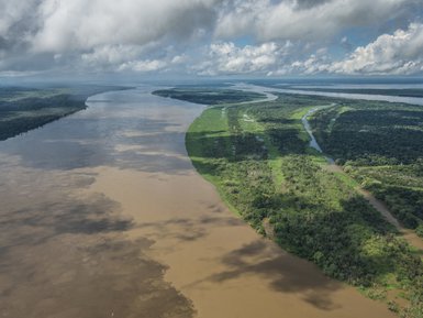 Ein atemberaubender Blick auf den Amazonasfluss, wo sich grüne Landschaften und braune Wassermassen treffen.