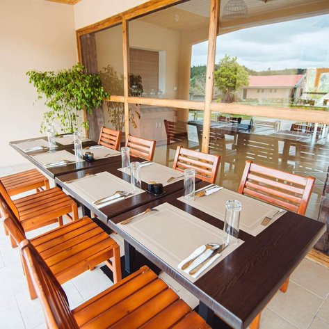 Ein eleganter Restaurantbereich mit einem großen Tisch, umgeben von Holzstühlen und einer grünen Pflanze im Hintergrund.