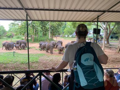 Frau lässt sich mit Elefanten im Hintergrund im Elephant Transit Home fotografieren – Sri Lanka Reise mit Kindern