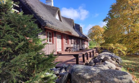 Ein traditionelles Reetdachhaus mit einer Holzveranda, umgeben von buntem Herbstlaub und einem blauen Himmel.