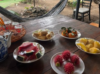 Ein rustikaler Tisch im Freien ist mit verschiedenen frischen Früchten und einem Teeservice dekoriert, umgeben von tropischer Vegetation.