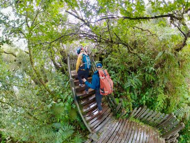 Familie erklimmt gemeinsam die Holztreppe im Mossy Forest der Cameron Highlands – Malaysia & Borneo Reise mit Kindern