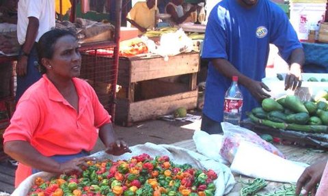 Eine Verkäuferin in einem Markt bietet eine bunte Auswahl an frischen Paprika und Gemüse an, während sie mit einem Kunden spricht.