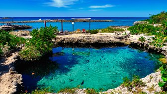 Ein klarer, blauer Pool umgeben von Felsen und üppigem Grün, mit Fischen, die im Wasser schwimmen und sanften Wellen.