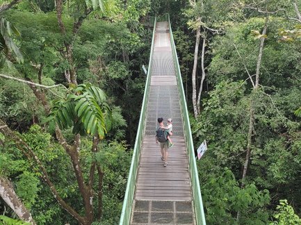 Vater und Kind stehen auf einer Brücke mit Blick im Sepilok Rainforest Discovery Centre – Malaysia & Borneo Familienreise