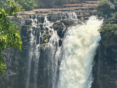 Ein majestätischer Wasserfall stürzt über steile Felsen, umgeben von üppigem Grün und trockenen Ästen im Vordergrund.