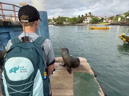 Ein Junge mit einem Rucksack beobachtet eine Seelöwin, die auf einem Steg am Wasser sitzt, umgeben von einer malerischen Kulisse.