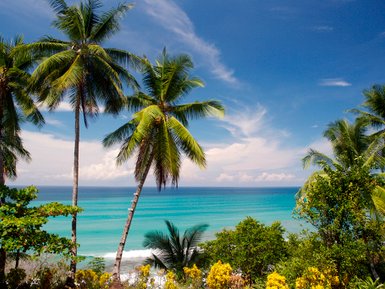 Tropischer Strand mit türkisfarbenem Wasser und Palmen – Costa Rica Reise mit Kindern