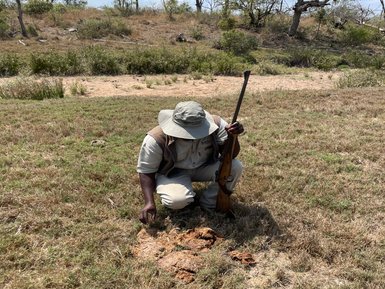 Guide zeigt und erklärt die Natur im Krüger Nationalpark – Südafrika mit Kindern
