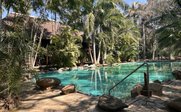 Pool der Makutsi Safari Farm in Südafrika - Reisefeedback