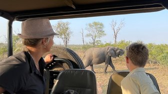 Mutter und Kind beobachten aufmerksam einen Elefanten aus dem offenen Safari-Jeep – Südafrika Reise mit Kindern