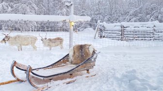 Ein Schlitten aus Holz liegt im Schnee, umgeben von einer winterlichen Landschaft mit schneebedeckten Bäumen und Rentieren.