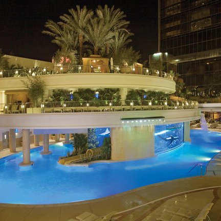 Ein luxuriöser Poolbereich mit sanftem, blauem Wasser und üppigen Palmen, umgeben von stilvollen Liegen und Beleuchtung.